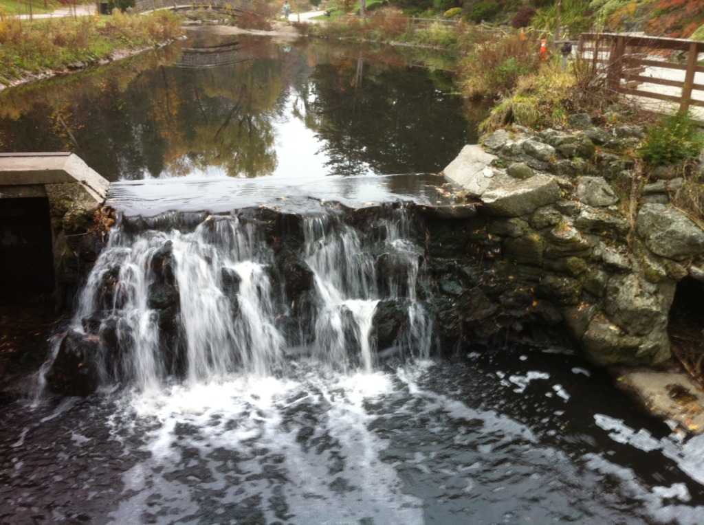 Edwards gardens waterfall