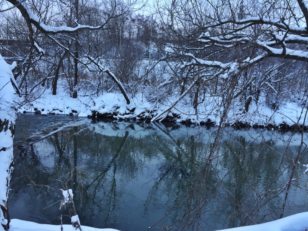 Cross country skiing along the Don river. 
